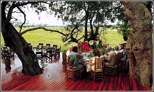 Abu Camp, Ngamiland, Botswana