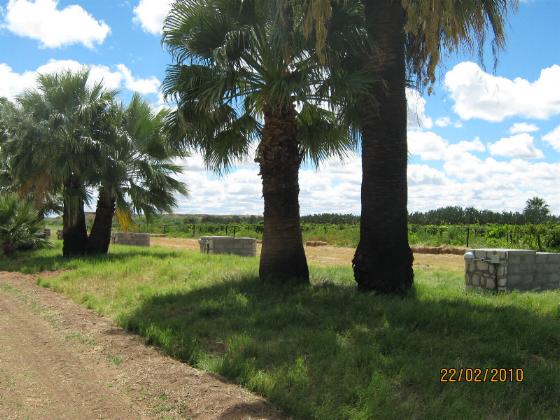 Kalahari Farmhouse Namibia: camping