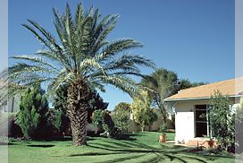 Bird's Nest Guest House Namibia