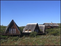 Buchu Bush Camp Near De Hoop Nature Reserve, Western Cape, South Africa