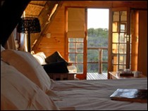 Buchu Bush Camp Near De Hoop Nature Reserve, Western Cape, South Africa