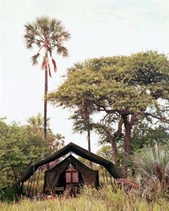 Camp Kalahari, Makgadikgadi Pans National Park, Botswana