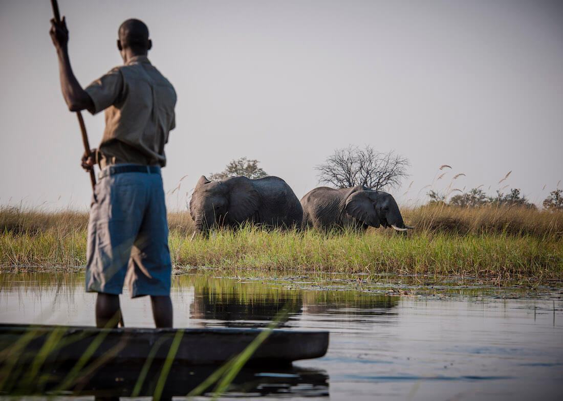 Duke's Camp, Moremi Game Reserve, Botswana