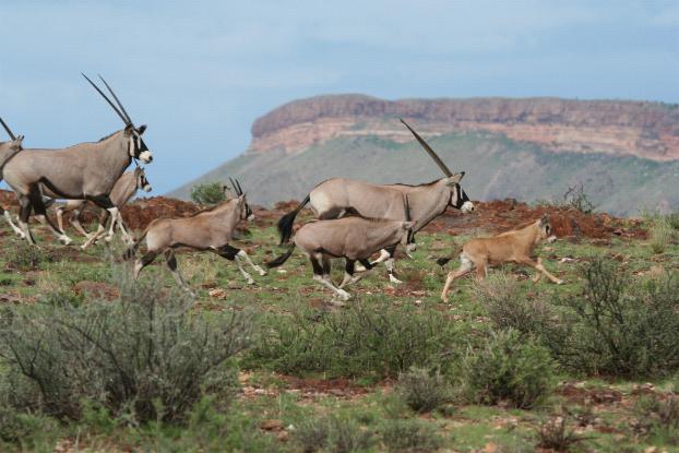 Goibib Mountain Lodge Grunau, Namibia