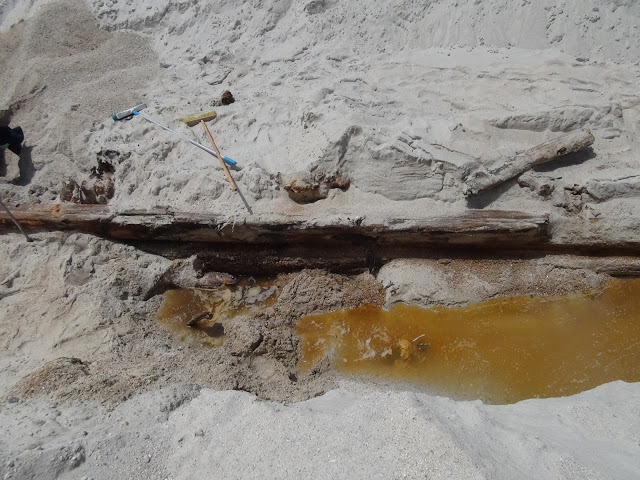 Discovery of Haarlem shipwreck, Bloubergstrand, Cape Town, South Africa