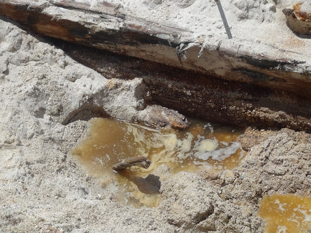 Discovery of Haarlem shipwreck, Bloubergstrand, Cape Town, South Africa