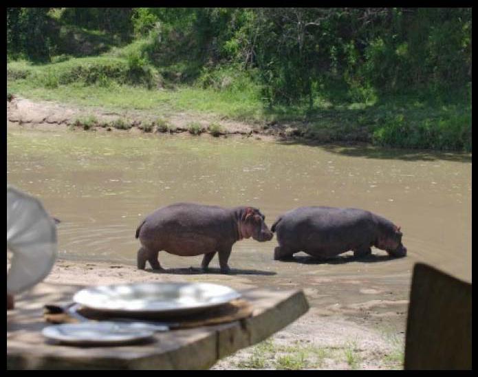 Hippo Pools Camp Site, Ruacana, Namibia