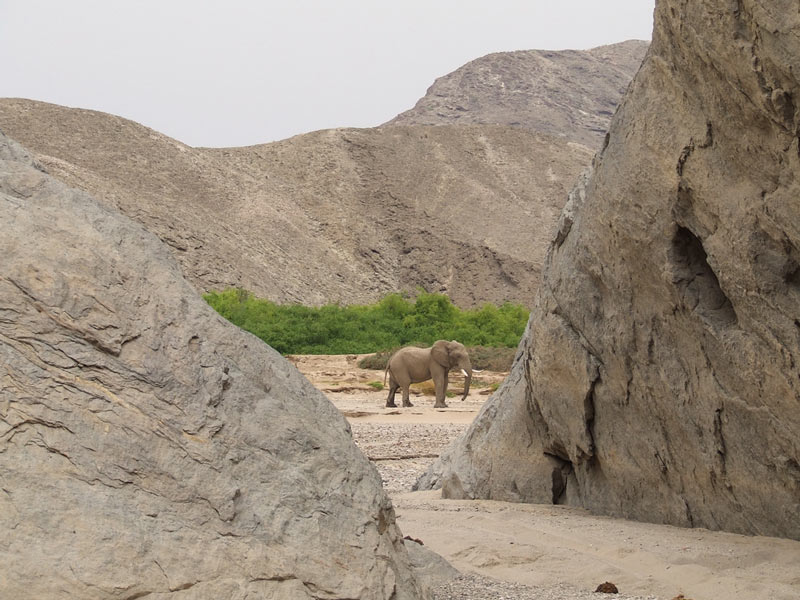 Hoanib Skeleton Coast Camp Kaokoland, Namibia