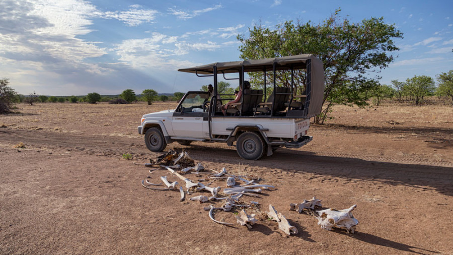 Hobatere Lodge, Damaraland, Namibia