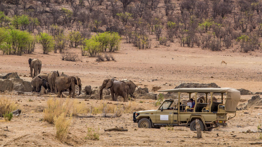 Hobatere Lodge, Damaraland, Namibia