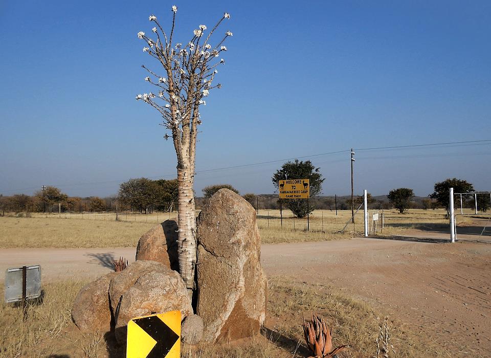 Kamanjab Rest Camp, Kamanjab, Namibia