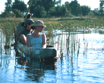 Kanana Camp, Botswana