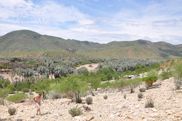 Kapika Waterfall Camp Epupa Falls | Namibia