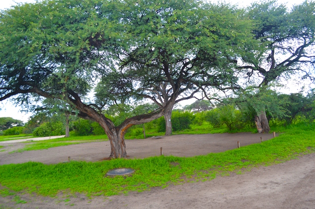 Khumaga Camp, Botswana: camping site