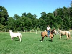 Kleine Bosch Farm Wellington, Western Cape, South Africa