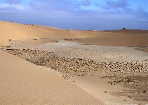 Kuiseb Delta Adventures Namibia