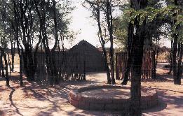 Lerucama Game Ranch, Kgalagadi Region, Botswana