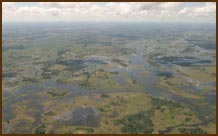 Little Kwara Camp Okavango Delta Ngamiland Botswana