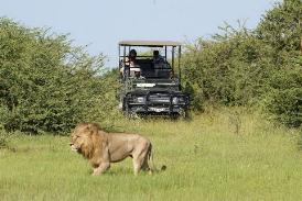 Little Mombo Camp, Wilderness Safaris, Botswana