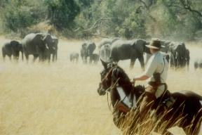 Macatoo Camp Maun Ngamiland Botswana