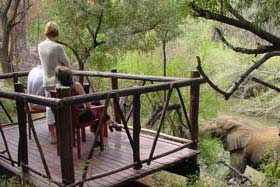 Madikwe River Lodge South Africa