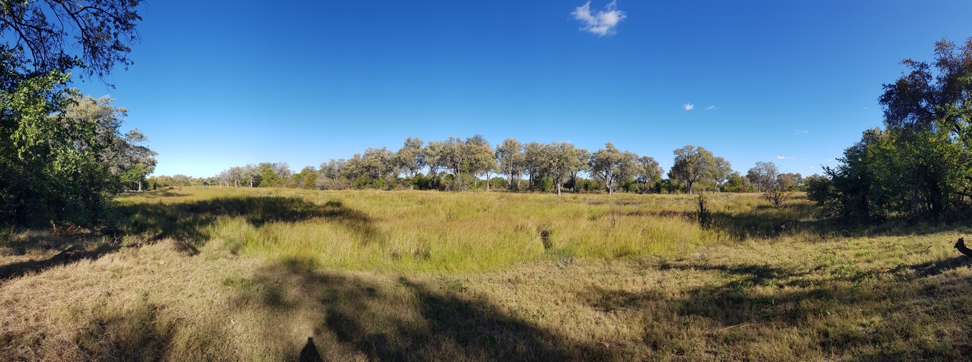 Mbudi Camp, Moremi Game Reserve, Botswana