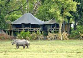 Mombo Camp Wilderness Safaris, Botswana