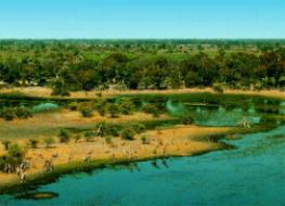 Mombo Camp Wilderness Safaris, Botswana