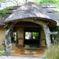 Motsentsela Tree Lodge Maun, Ngamiland, Botswana