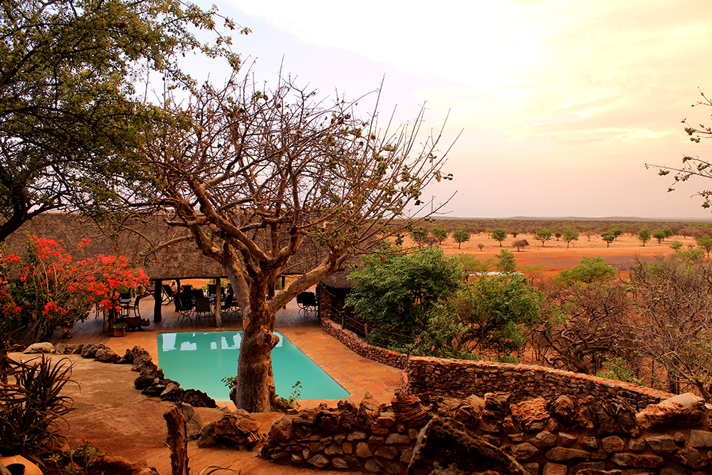 Harnas Wildlife Foundation - Harnas Etosha Namibia: deck and pool