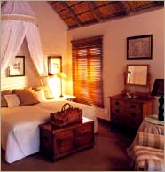 Ngala Game Lodge, South Africa