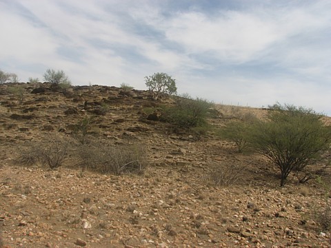 Niedersachsen Guest Farm Namibia