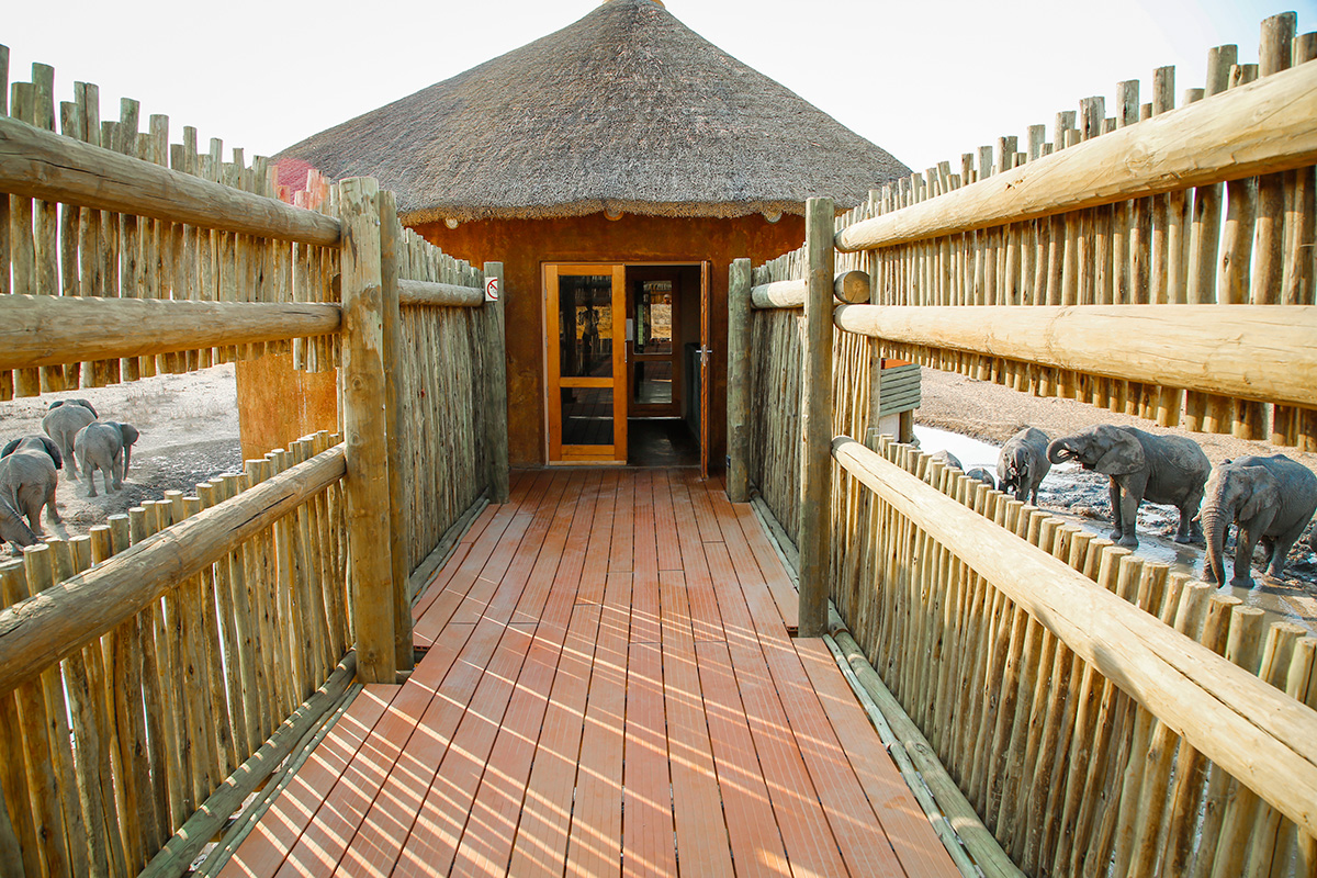 Olifantsrus Camp Etosha National Park, Namibia