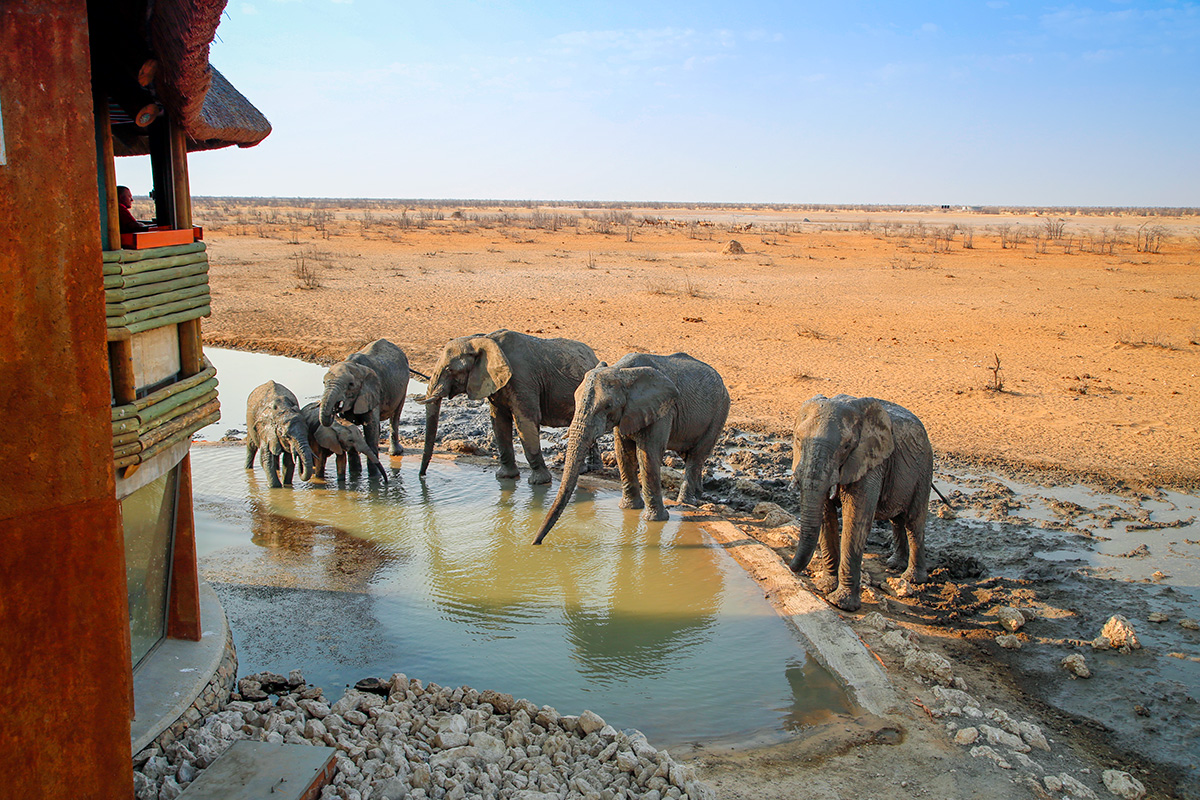 Olifantsrus Camp Etosha National Park, Namibia