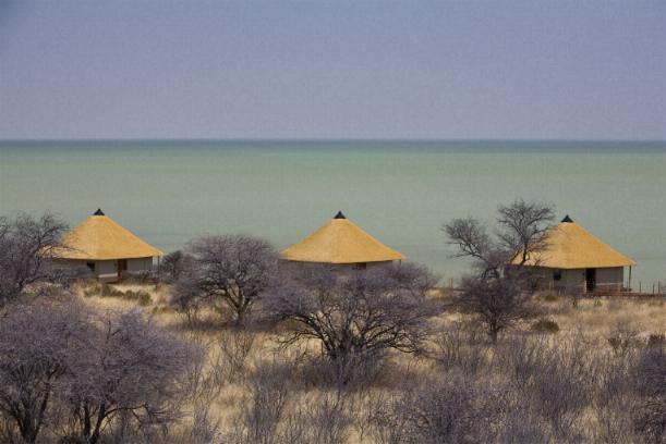 Onkoshi Camp Etosha Park, Namibia