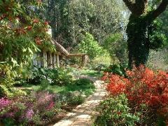 Pleasant Places Country Guest House Lidgetton, Kwa-Zulu Natal, South Africa