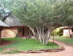 Pure Joy Lodge Pretoria, Gauteng, South Africa