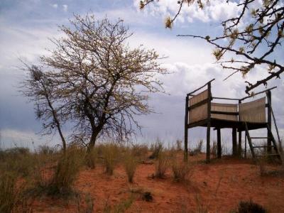 Red Dune Camp Gochas, Namibia: Dune Camp Site