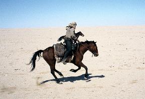 Reitsafaris Namibia