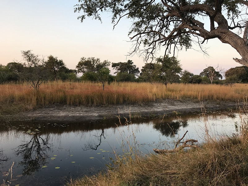 Rupara Rest Camp, Mamili National Park, Namibia