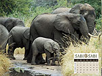 Sabi Sabi, South Africa