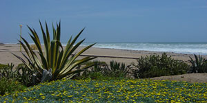 Seagull B&B Namibia