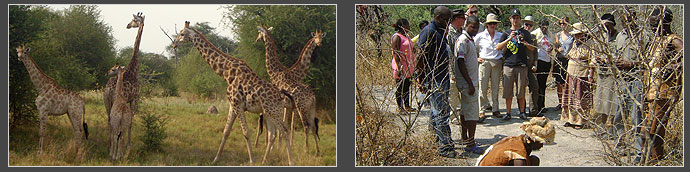 Shandereka Cultural Village Ngamiland, Botswana