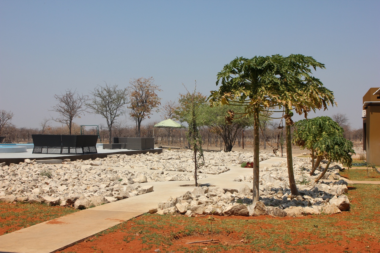 Shikamasha Etosha Game Lodge and Camping, Etosha Park, Namibia