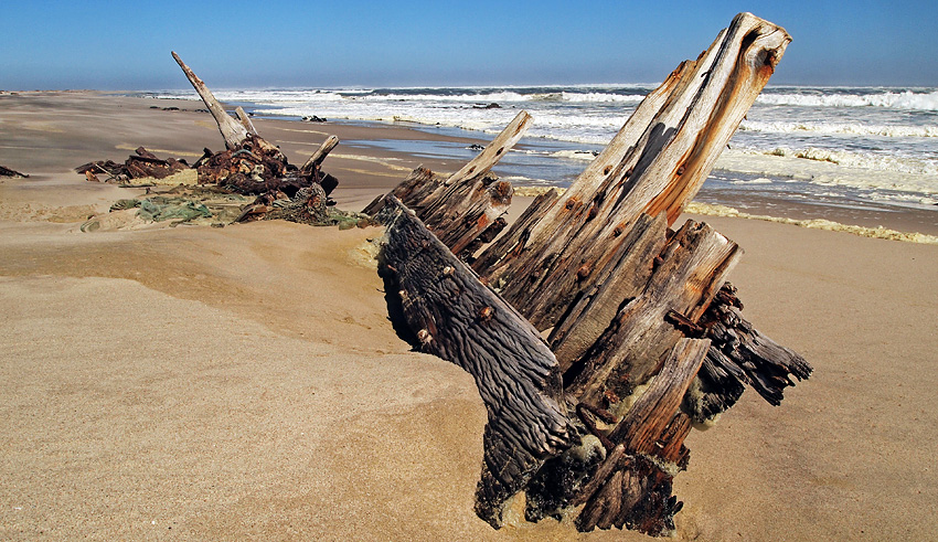 South West Seal, Skeleton Coast, Namibia