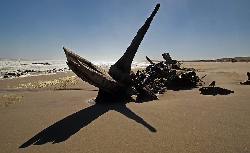 South West Seal, Skeleton Coast, Namibia