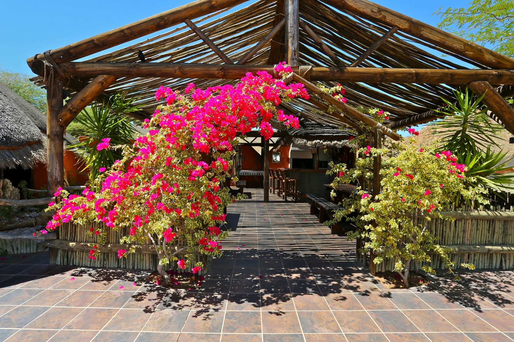 Solitaire Desert Farm, Namibia