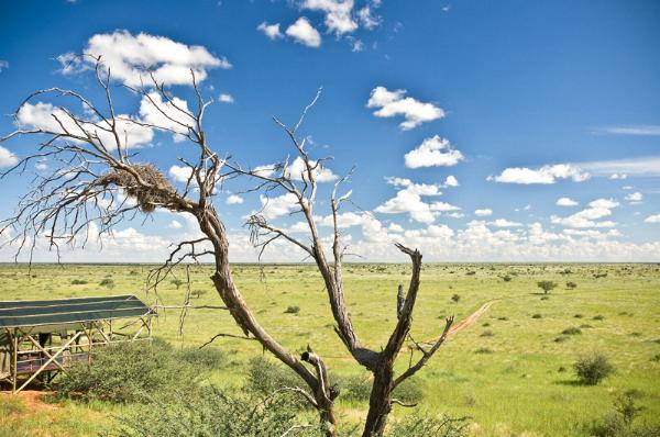 Teufelskrallen Tented Lodge Kalkrand, Namibia