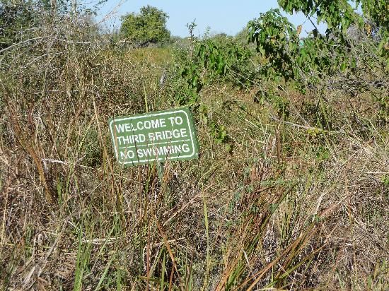 Third Bridge Camp site Moremi Game Reserve, Ngamiland, Botswana