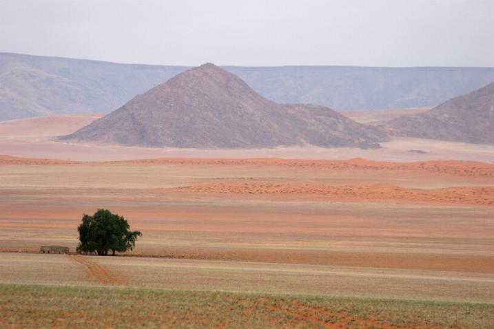 Tirool Aus, Namibia